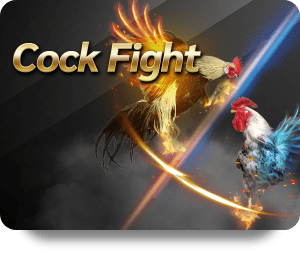 เกมการเดิมพันใบหน้าฟรุ้ดี้【เกมเบทฟลิกซ์】